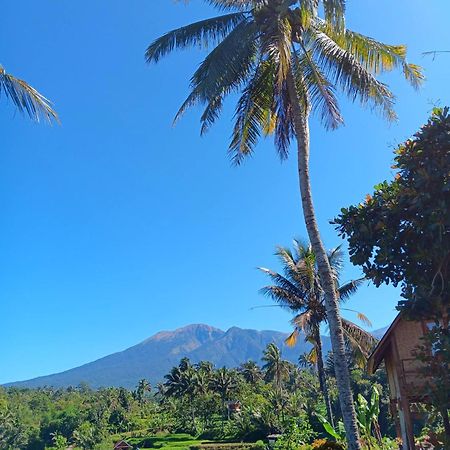 טטבאטו Dewi Rinjani Homestay מראה חיצוני תמונה