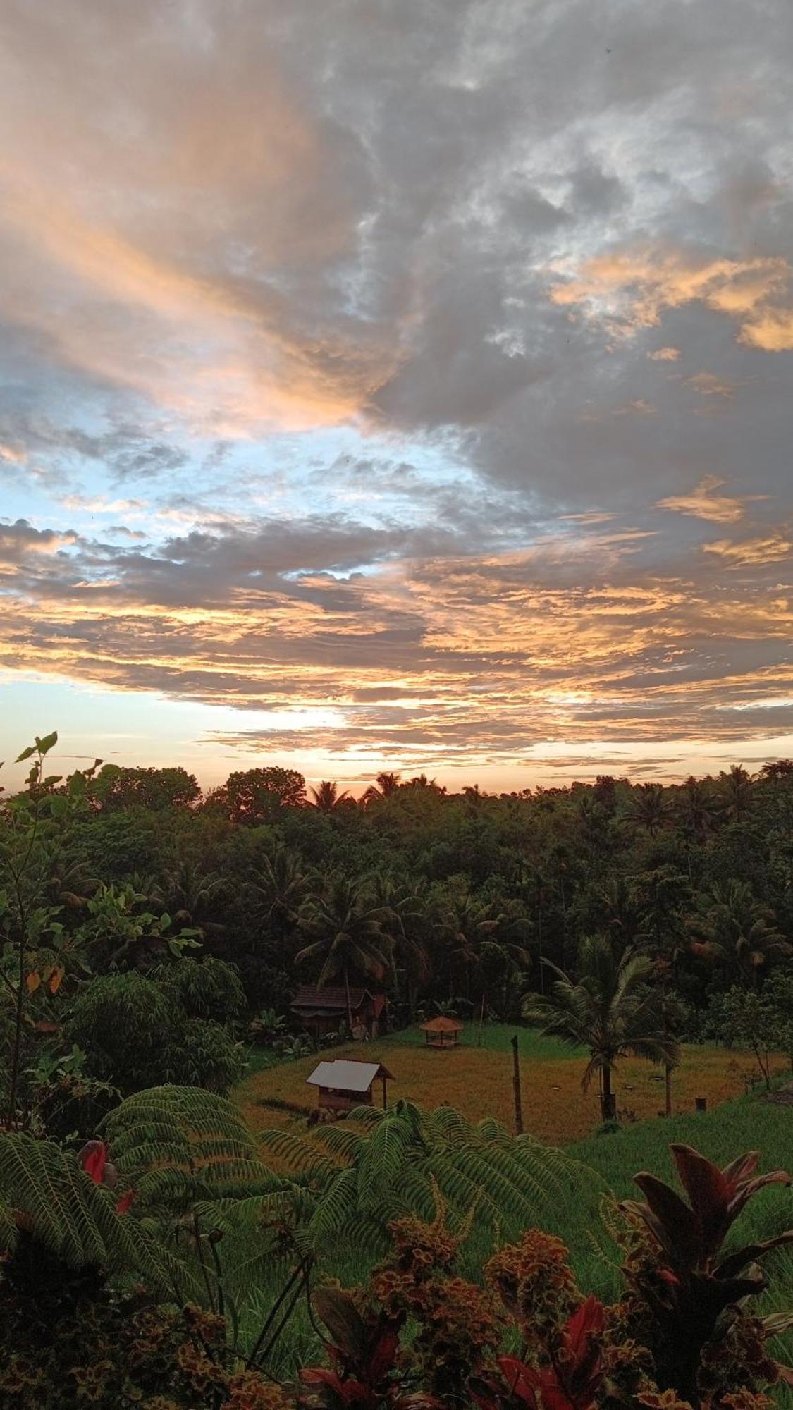 טטבאטו Dewi Rinjani Homestay מראה חיצוני תמונה