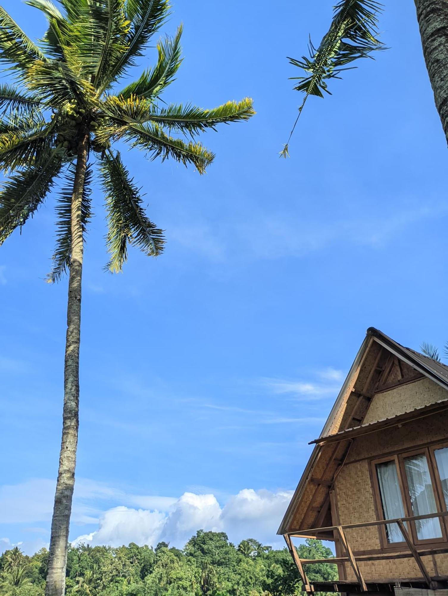 טטבאטו Dewi Rinjani Homestay מראה חיצוני תמונה