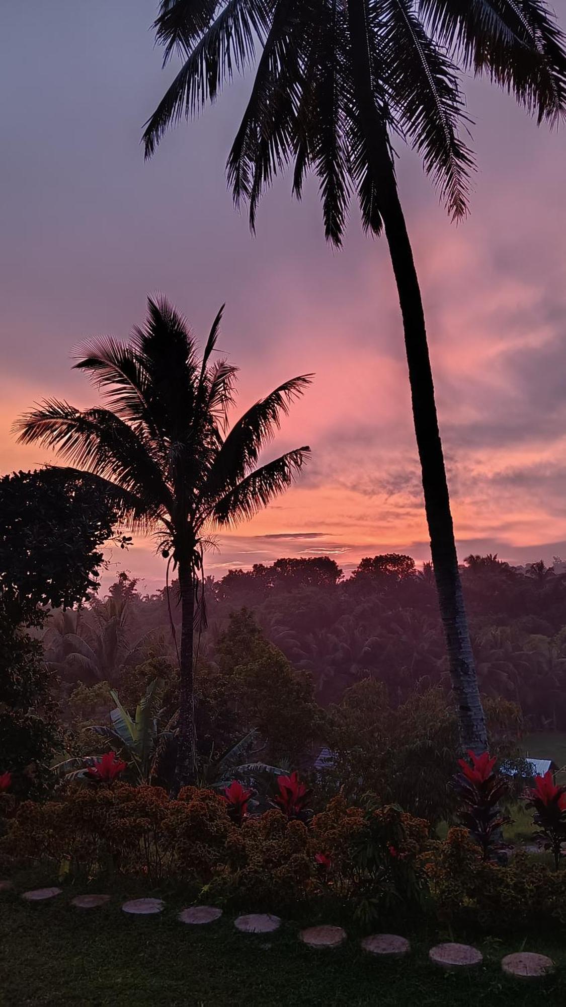 טטבאטו Dewi Rinjani Homestay מראה חיצוני תמונה